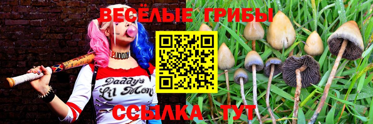 Барабинск  Галлюциногенные грибы Magic Shrooms  Вход с VPN 